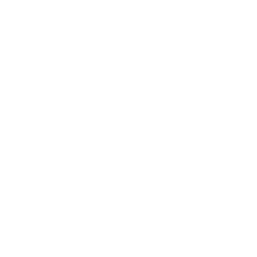 Icon-01 phone